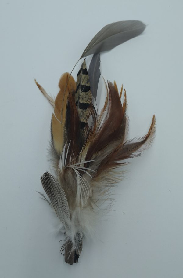 Feather Hat / Lapel Pin