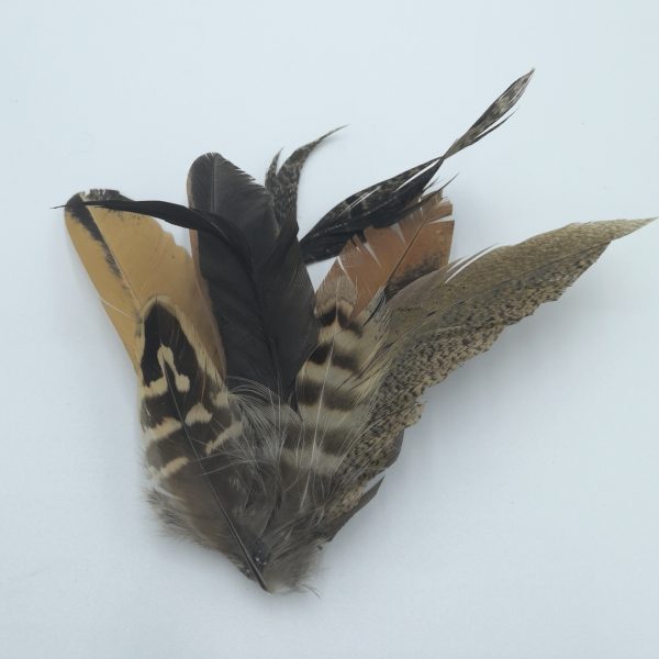 Feather Hat / Lapel Pin