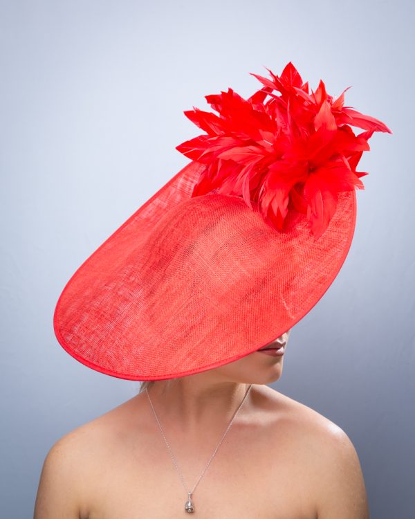 Firebird - Image 2