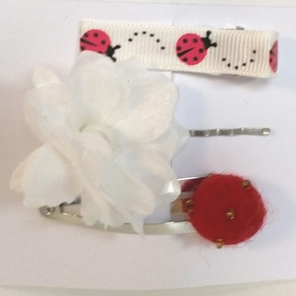Hairclip Trio - Limited Edition