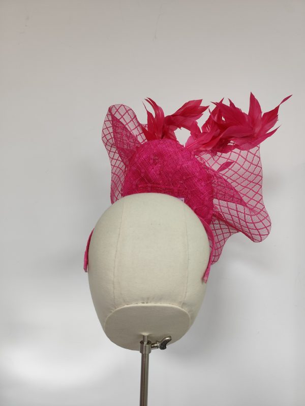 Jay in Pink - Image 3