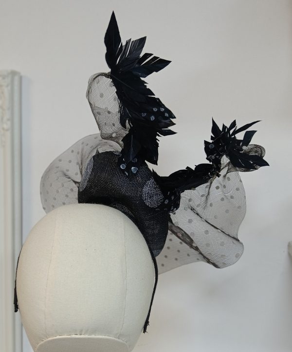 Jay in Polka - Image 2