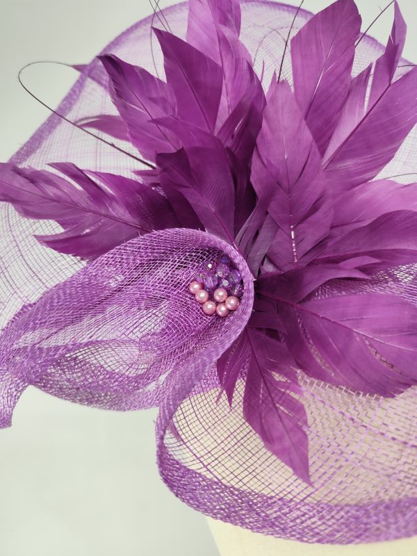 Orchid - Image 5