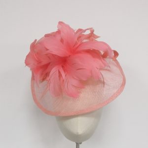 Pale Coral