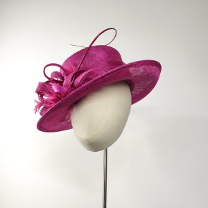 Raspberry Hat