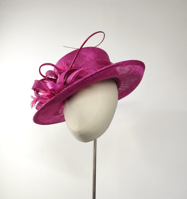 Raspberry Hat