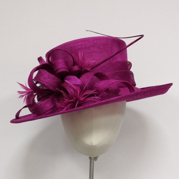 Raspberry Hat - Image 2