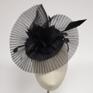 Raven Crin