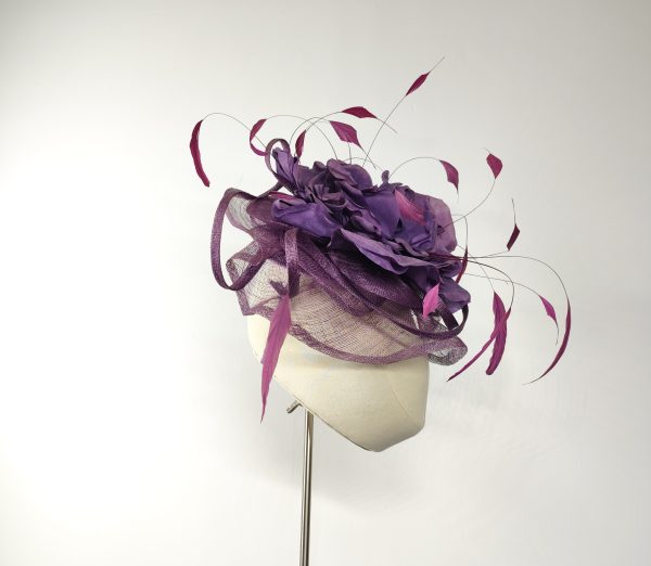 Wild Rose - Image 3