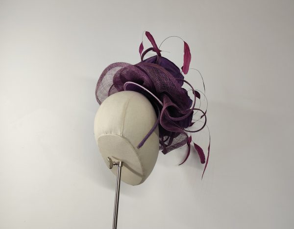 Wild Rose - Image 4