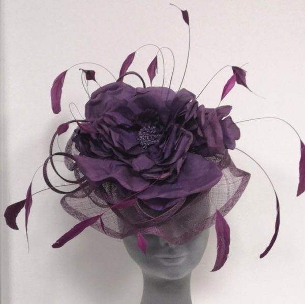Wild Rose - Image 5